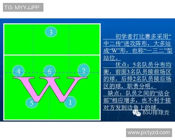 广州排球队中路突破分析与战术调整的得失总结 广州排球队中路突破分析与战术调整的得失总结