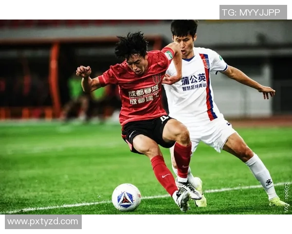 成都排球队在城市联赛中的团队协作表现分析与点评