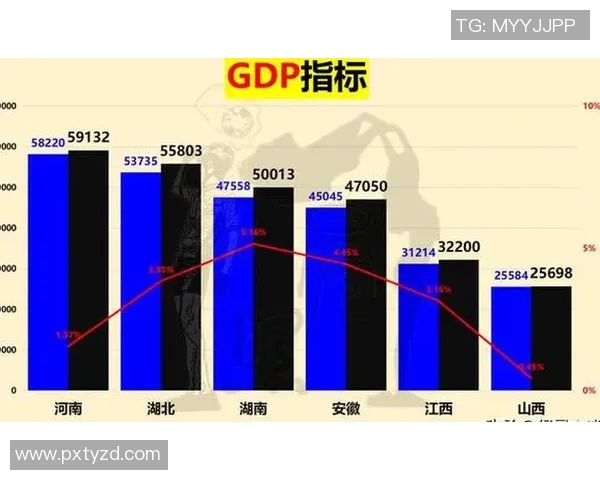 湖北甲a足球明星的崛起与未来发展展望解析