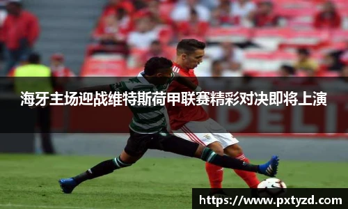海牙主场迎战维特斯荷甲联赛精彩对决即将上演
